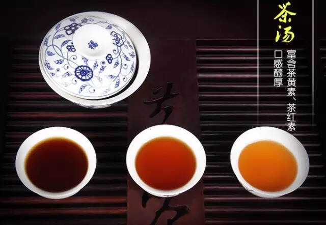 黑茶的6个“度”，个个得重视