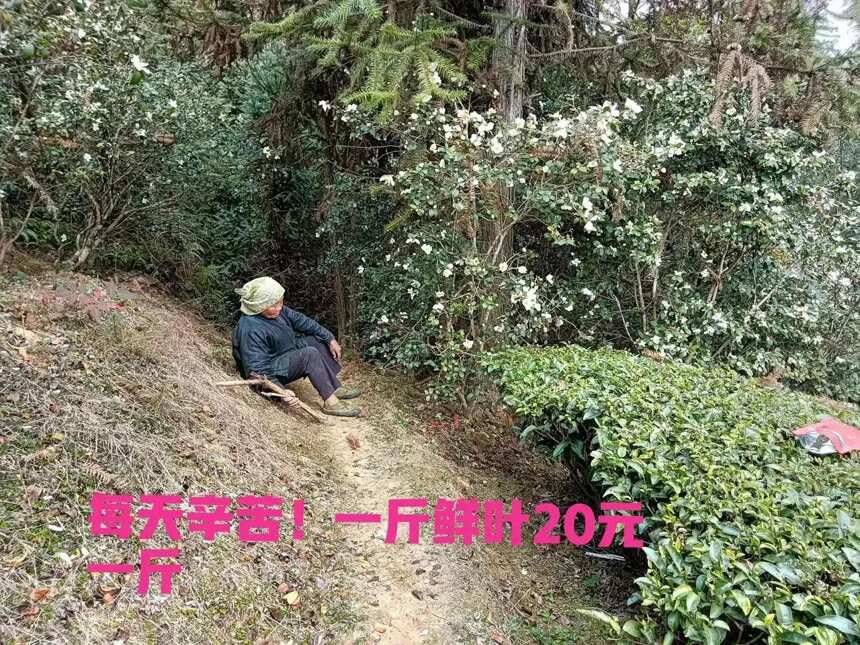 小县城是农村孩子回不去的地方