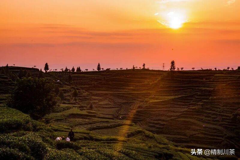 藏不住的美 | 四川生态宜居名村，红星镇骑龙村榜上有名