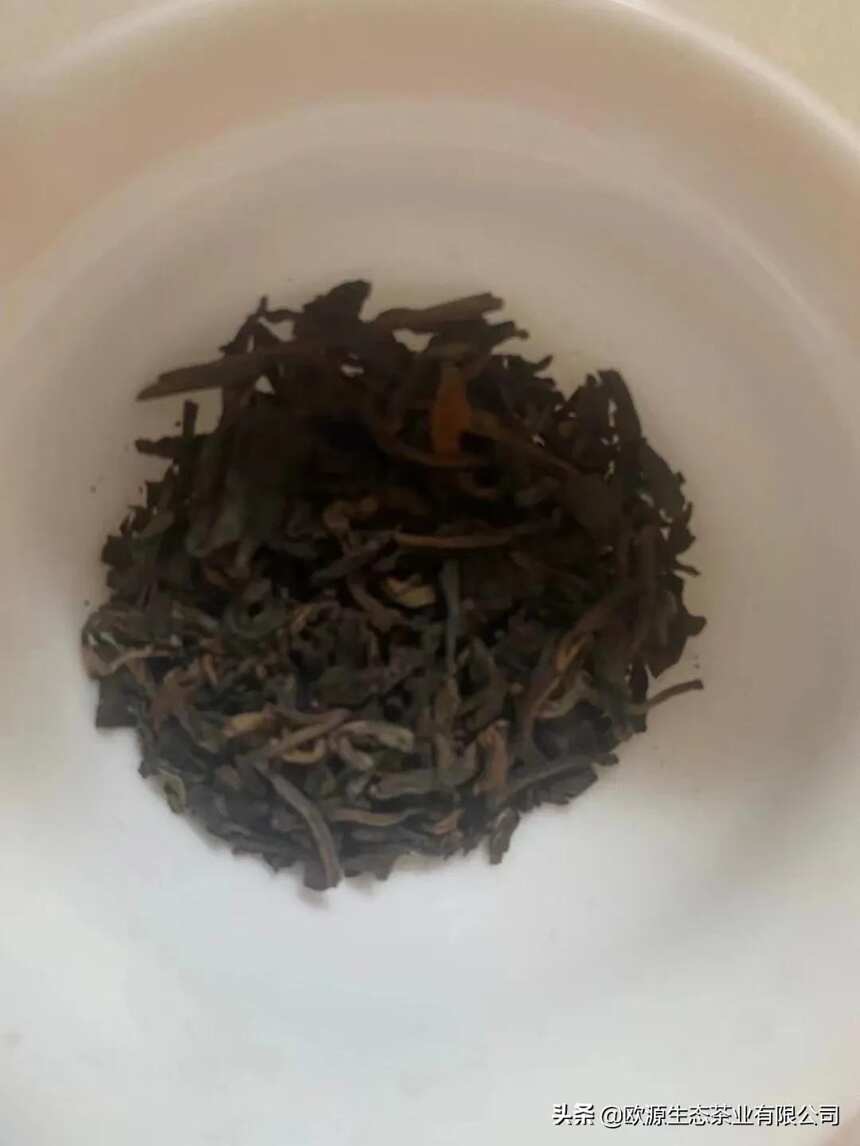 大益普洱茶2002年红大益易武正山野生茶 勐海茶厂七子饼茶