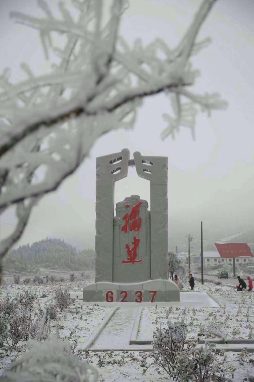 一下雪，你就换了一个更温暖的名字……