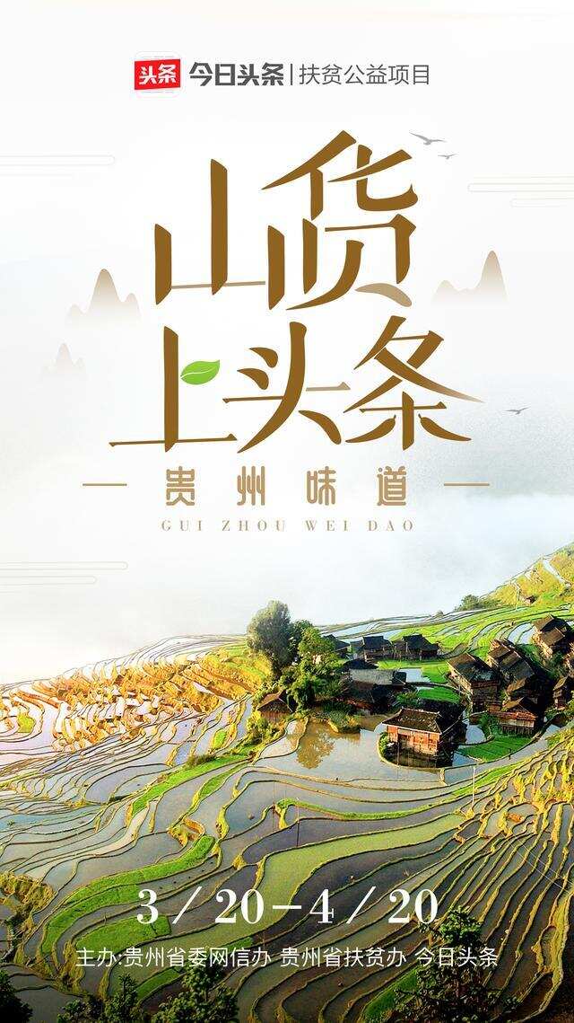 这名贵州退伍老兵举家扎根深山9年种有机茶，只为带领乡亲脱贫