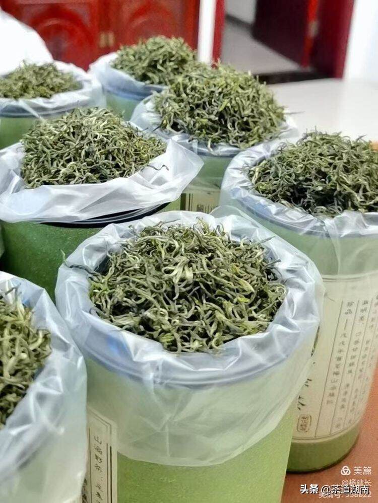 梅山涵：你的“真味茶”已然在苍峰山香起