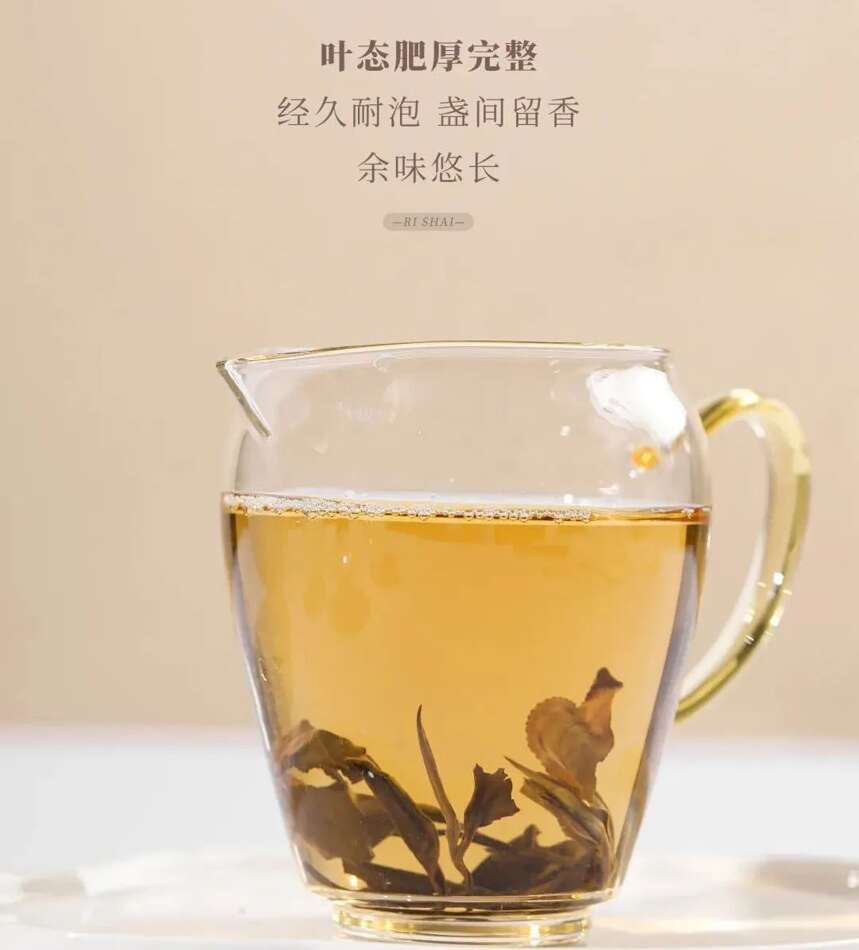 帝芙特说茶：挑选白茶饼的小技巧