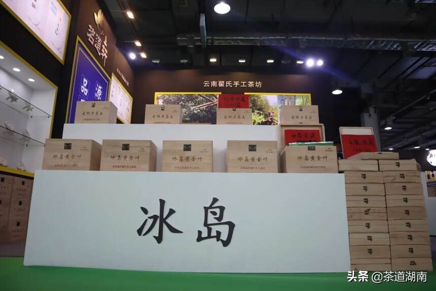 省茶业战略专家曹文成一行参观2021第十三届湖南茶文化节