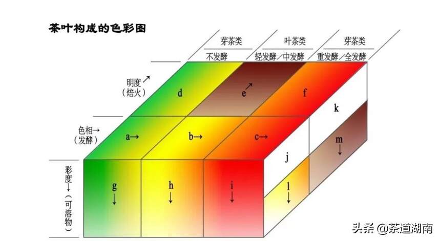 茶汤的色彩密码