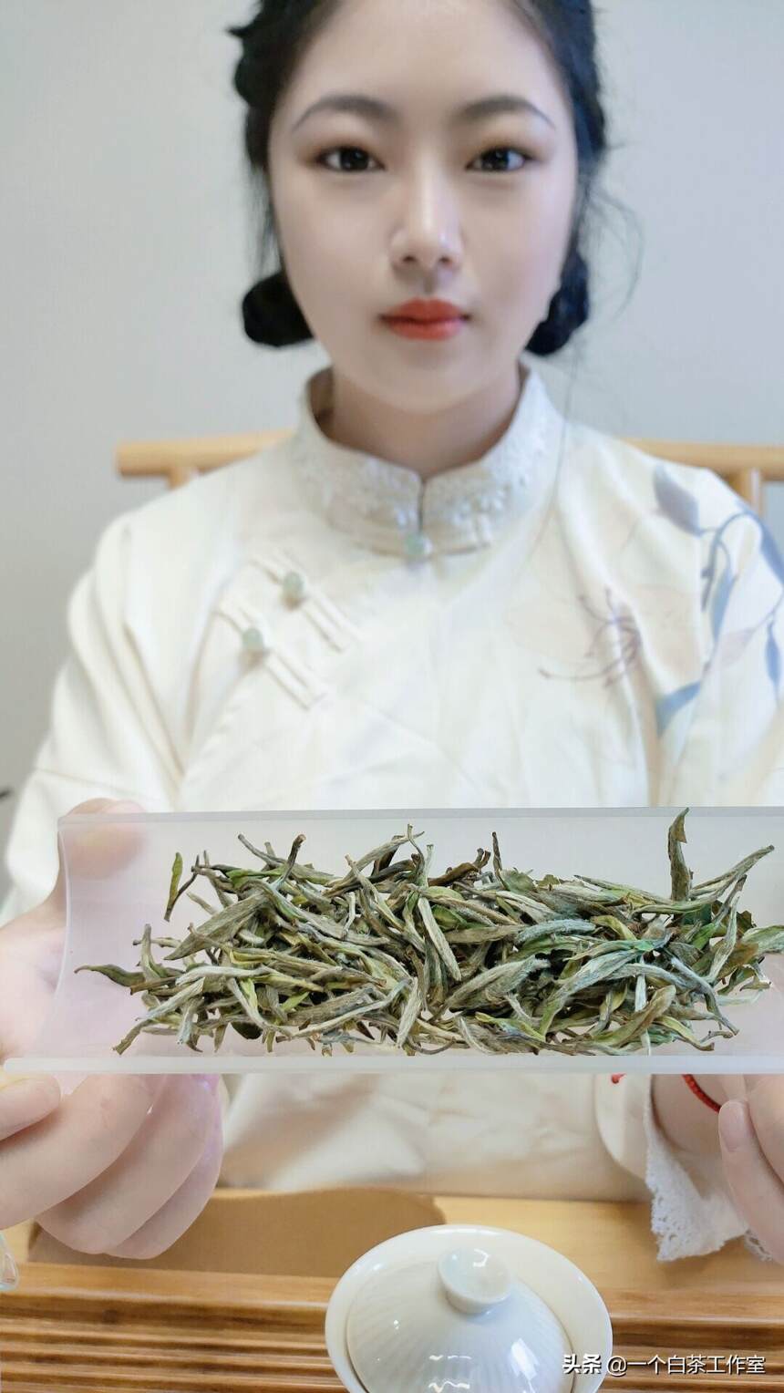 白茶如何对抗绿茶？你应该选择哪一个？