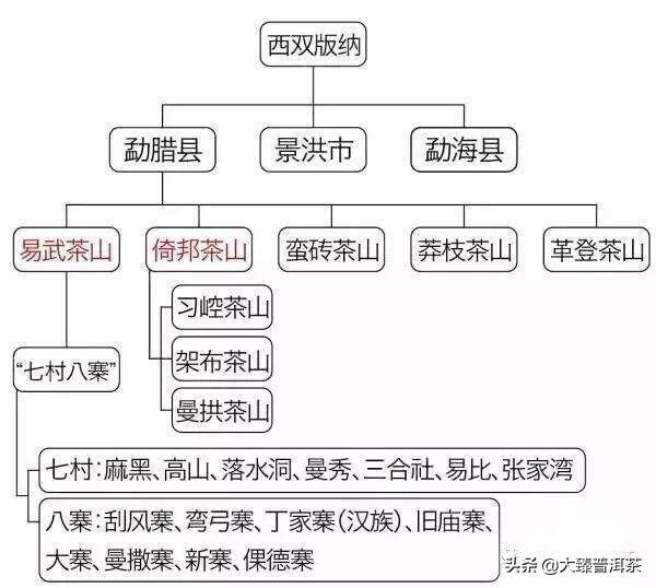 普洱茶区格局分类之三强一弱【大臻普洱茶堂2|茶区】