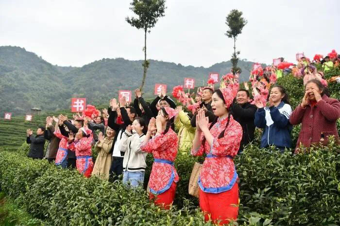 四川大竹上演传统民俗“喊山开茶”（组图）