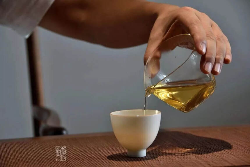 茶中“网红”——鸭屎香单丛茶养成记