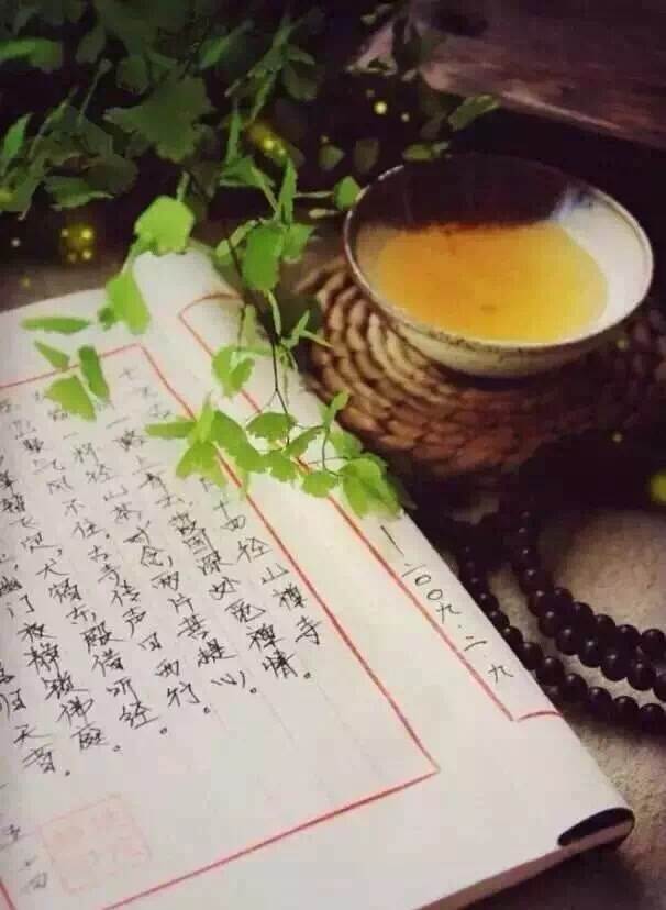 时光如水，落花为茶，落叶为书……