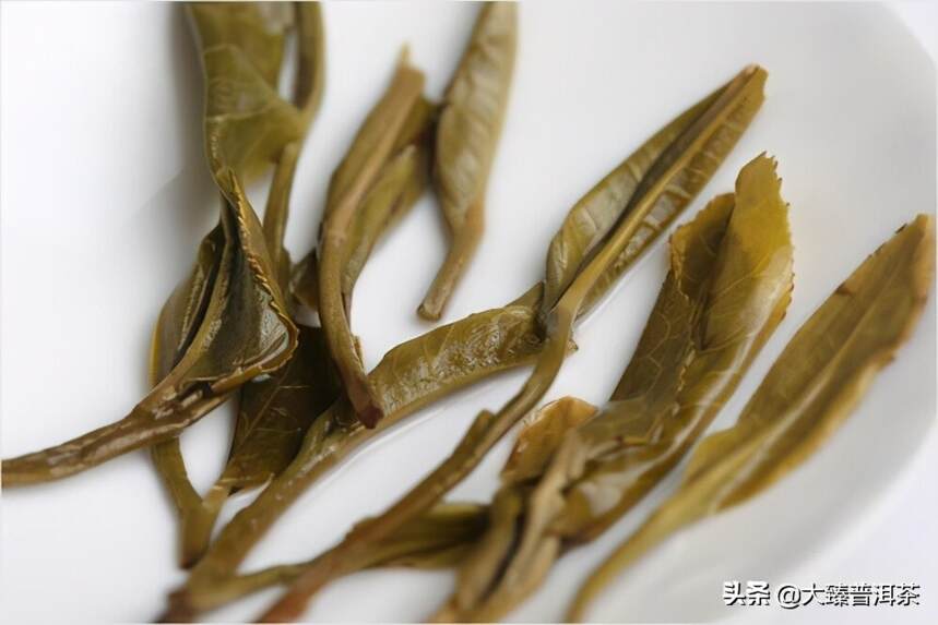 勐库大户赛：浓厚而独特「大臻古茶山大全23」