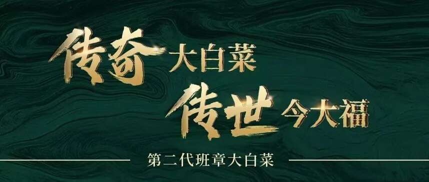 今大福｜茶山纪第二期：穷造物之功，尽万类之名