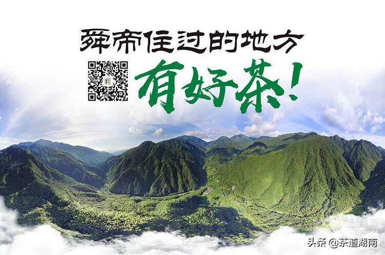 山看张家界，野茶数舜皇山