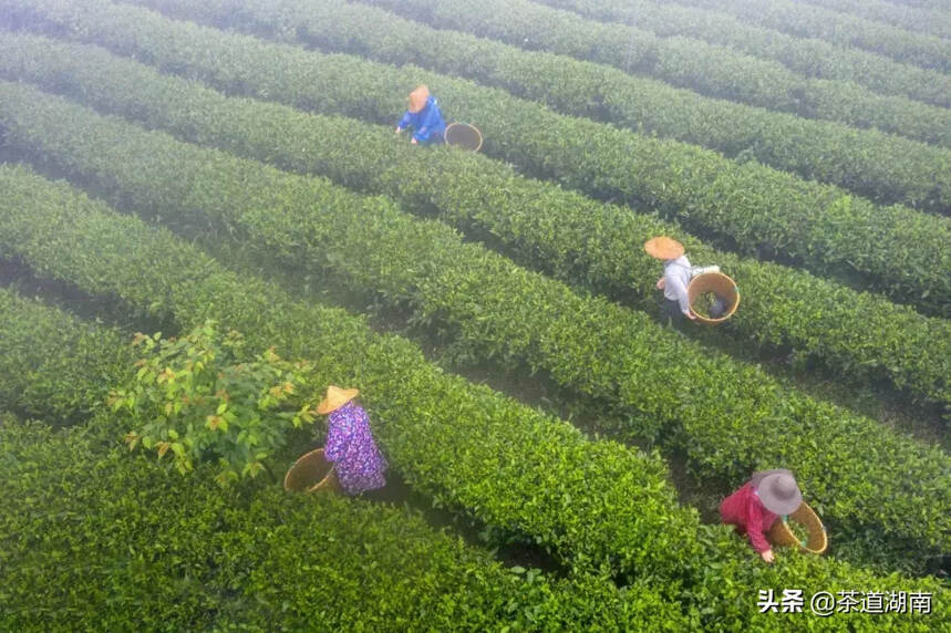 这个地方，用茶来诠释“幸福”与“安宁”