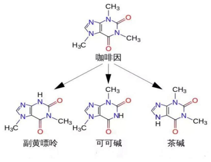 茶叶与咖啡的区别：苦中作乐是生活像咖啡，苦涩甘甜有百味像茶叶