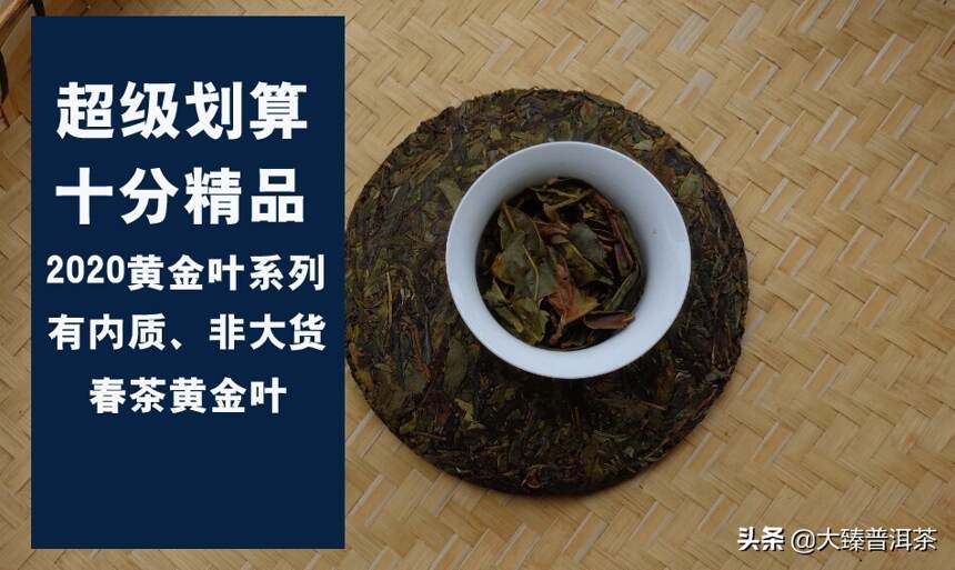 大臻老曼峨黄金叶｜厚重高性价 老茶友必备