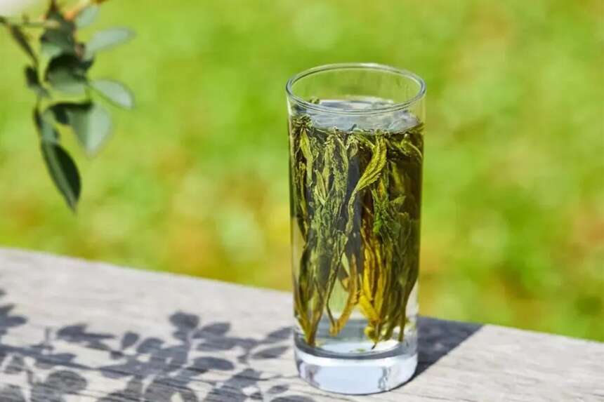 帝芙特说茶：绿茶4大流派代表名茶，你喝过几种？