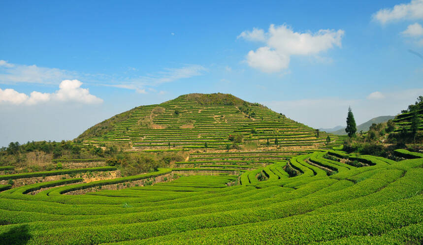 普通茶友如何在茶叶主产区淘到好茶？老茶人分享的四点攻略很实在