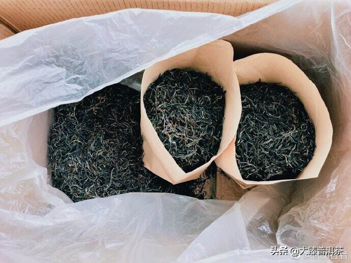 易武.桃子山｜行者品茶(136)