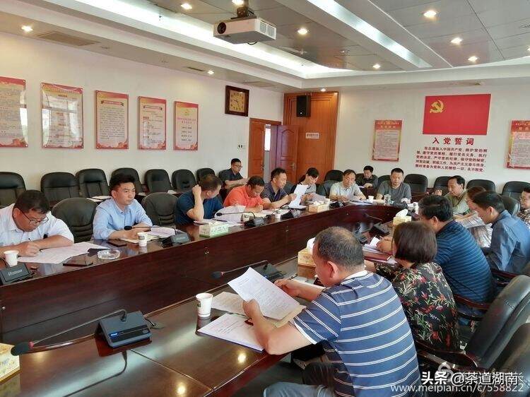 娄底全民品茶节暨首个“国际茶日”主题活动筹备工作会议召开