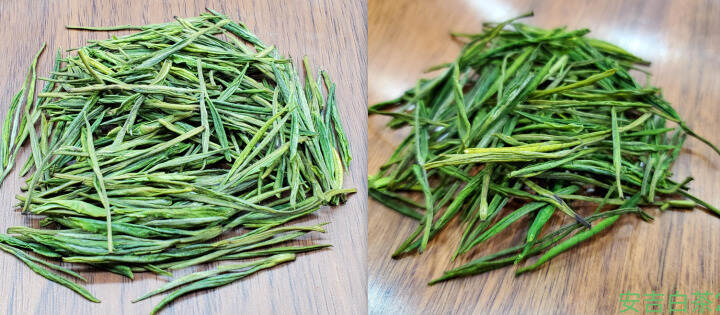 新茶和陈茶，能不能喝？怎么分辨？