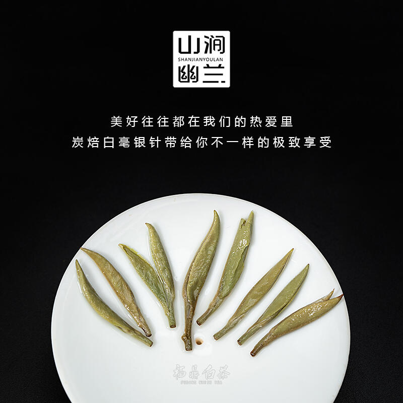 白毫银针喝得好，防病于未然！解析功效，让你喝得明明白白