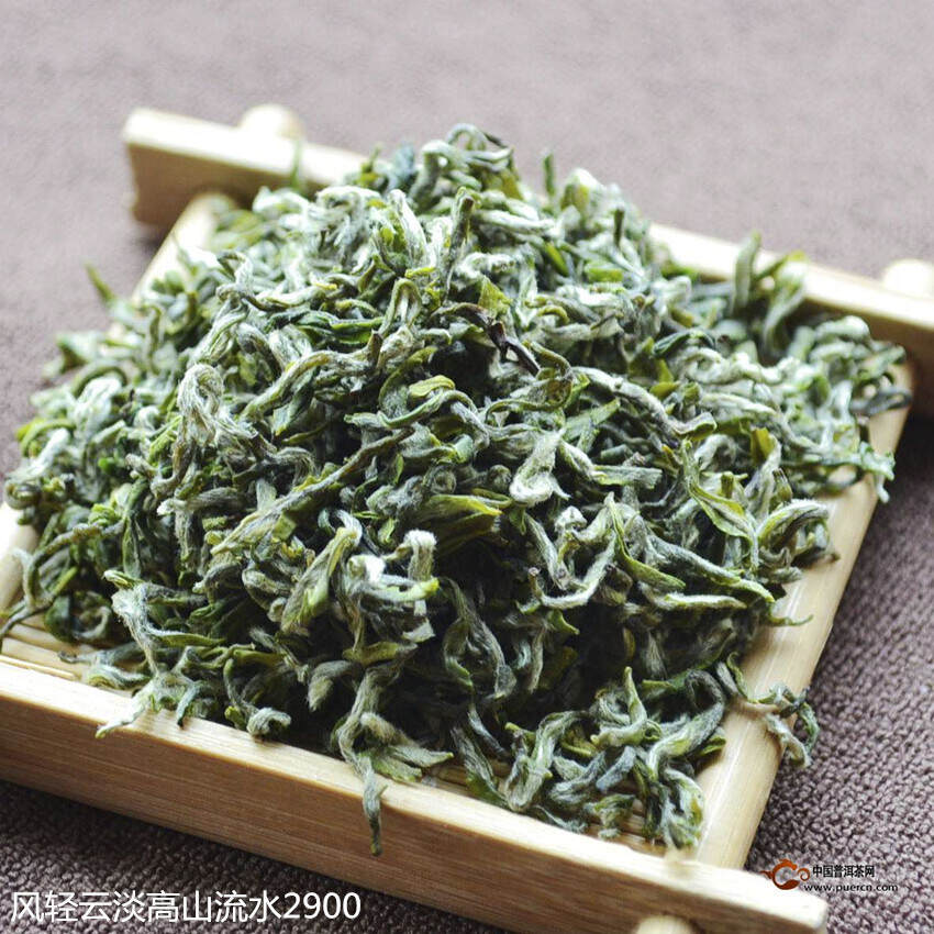 “狗脑贡”绿茶，名拙茶优显不俗，茶与狗的故事，万物皆有灵