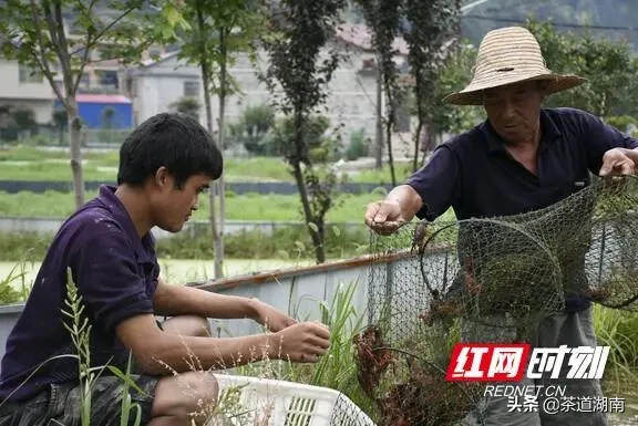 百姓安居 产业兴旺 这是安化脱贫攻坚成绩单