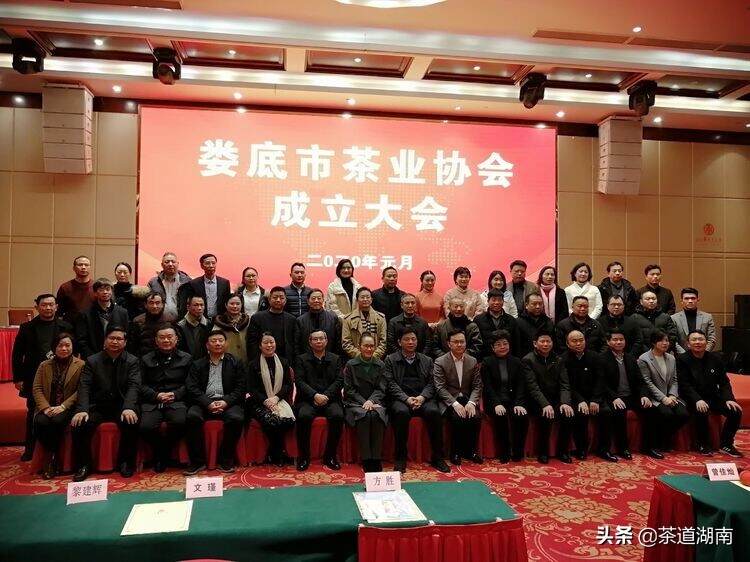 娄底市茶业协会举行成立大会
中国工程院院士刘仲华出席并讲话