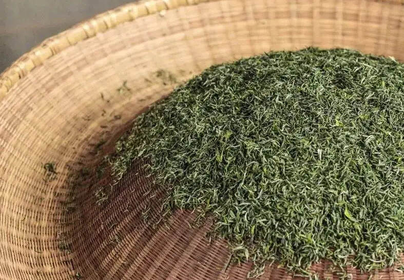 蒂芙特说茶：绿茶烘干的温度是多少