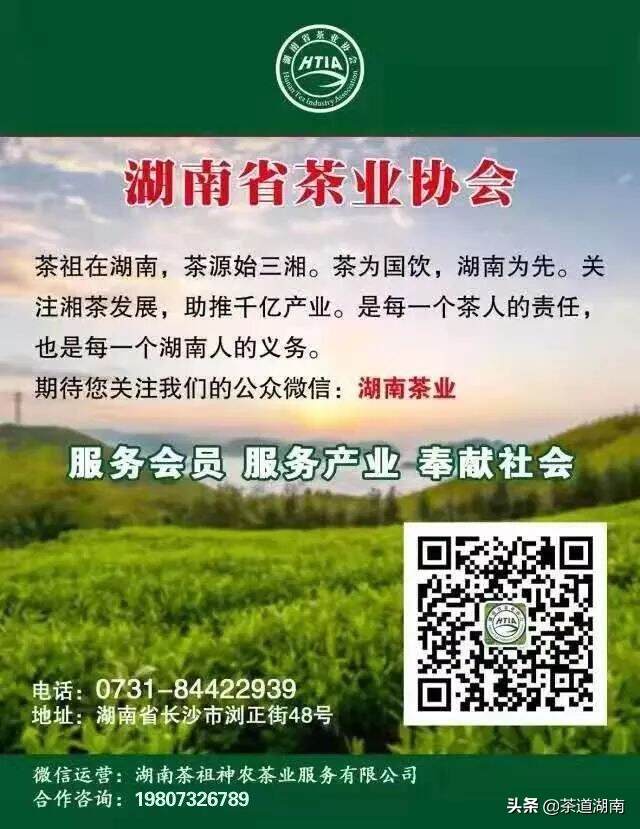 吉首隘口：把黄金茶的品牌，做得更加响亮