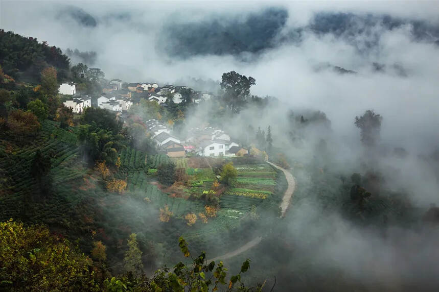 “大珠小珠落玉盘”，落入杯中又是怎样的情景？