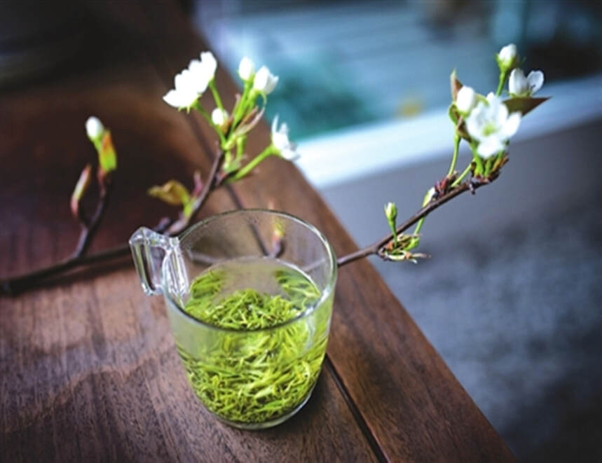 春天来了，大自然送给我们的第一份礼物是绿茶，清汤绿叶香高气扬