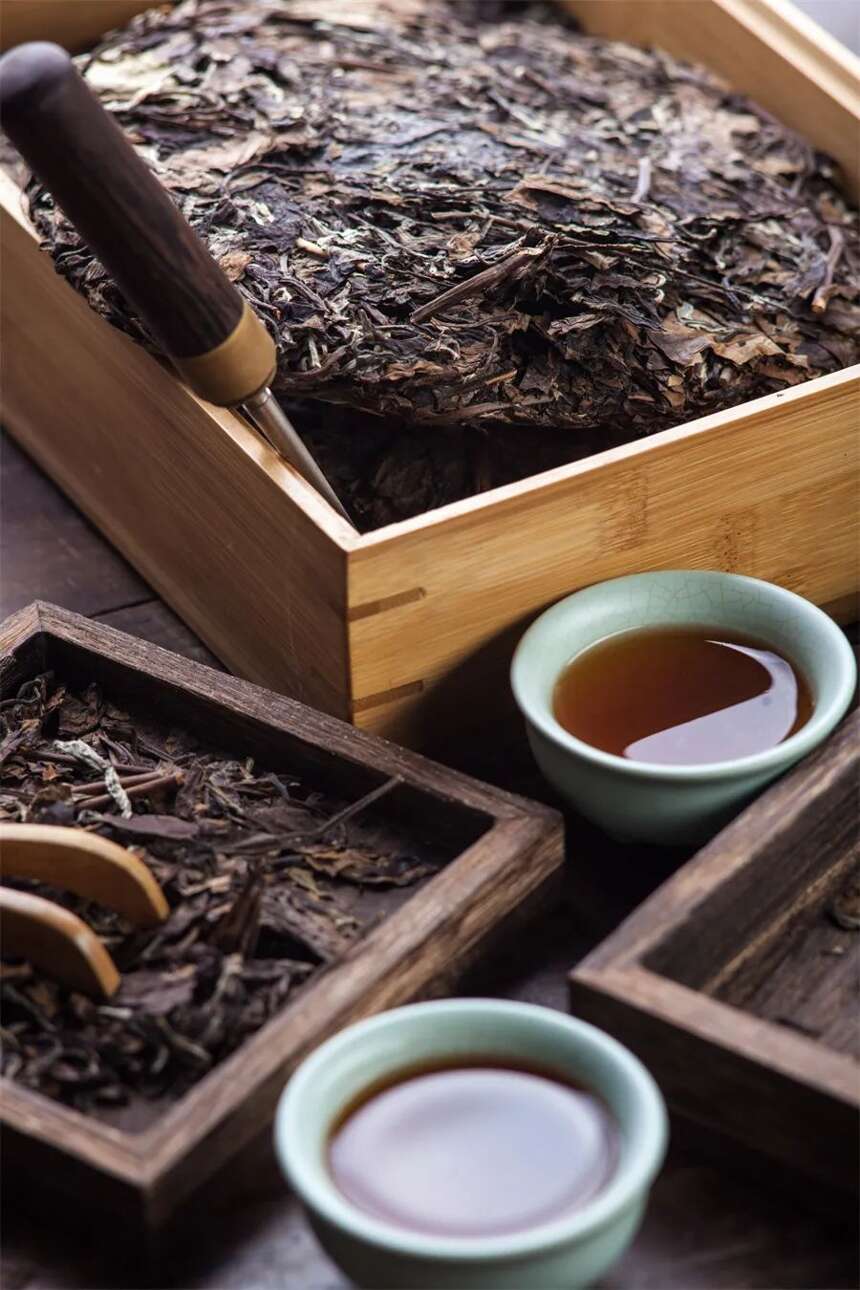 茶友评论精选：都喝茶，我怎么说不出这么一针见血的话，太有才了