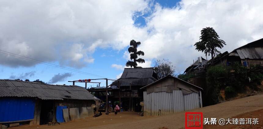 「行者.茶山列传」布朗山班盆：一衣带水