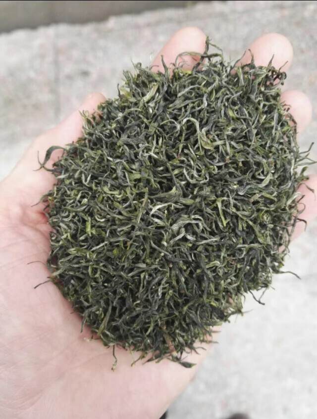 茶树病虫综合防治措施（三江茶园）