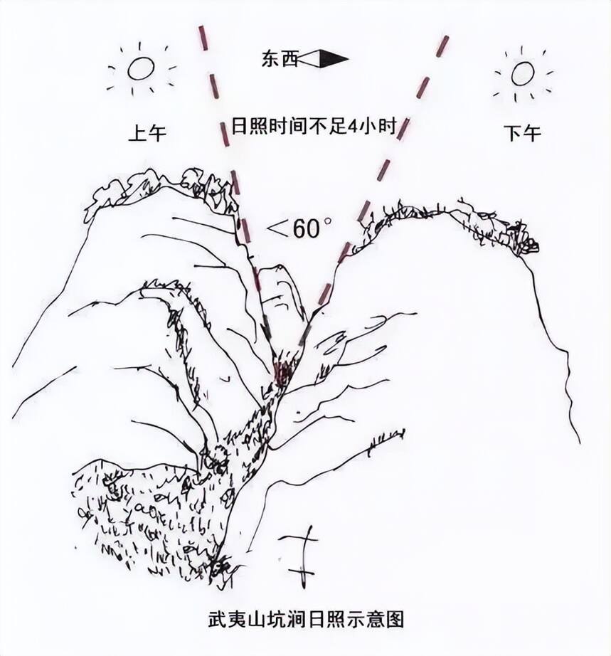 为什么除了武夷山其他地方都无法出产岩茶？