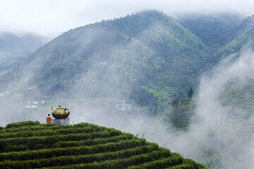 中国茶文化的精华，茶谚涉及茶的方方面面