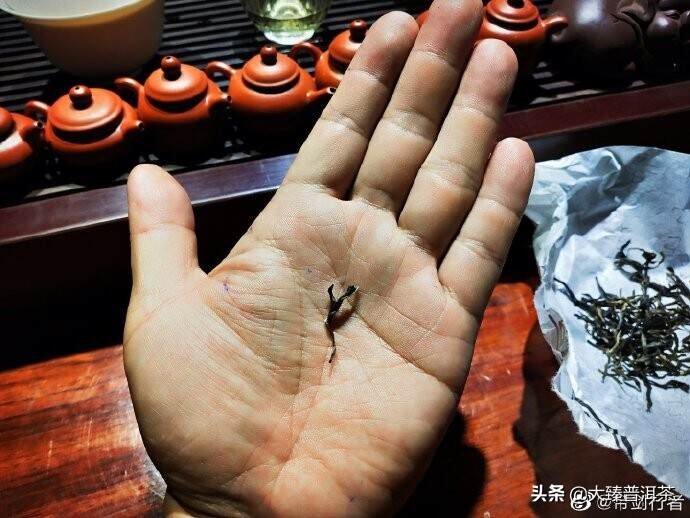 一个茶喝多少次才算明白？「带剑行者」