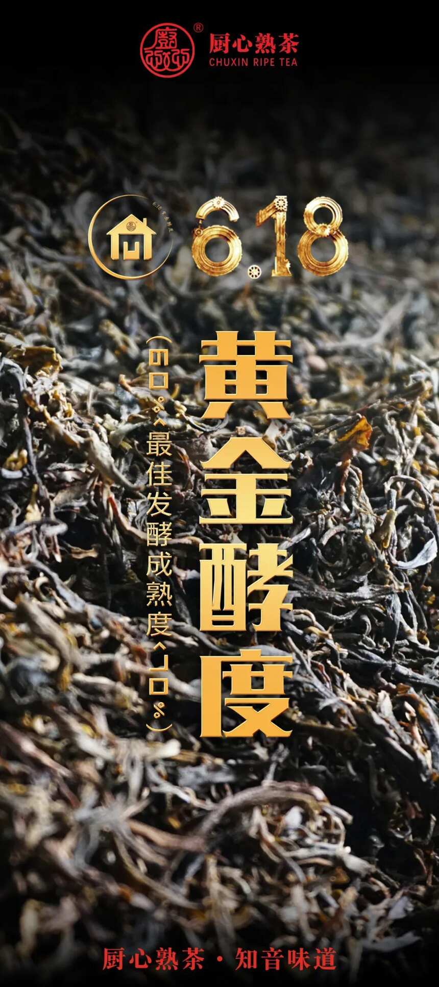 熟茶，大健康产业，把握热门商机