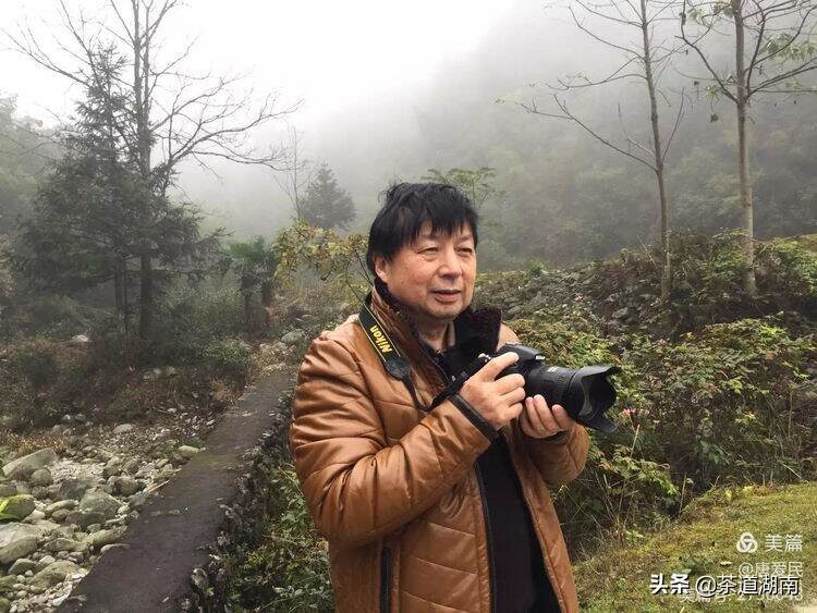 山看张家界，野茶数舜皇山