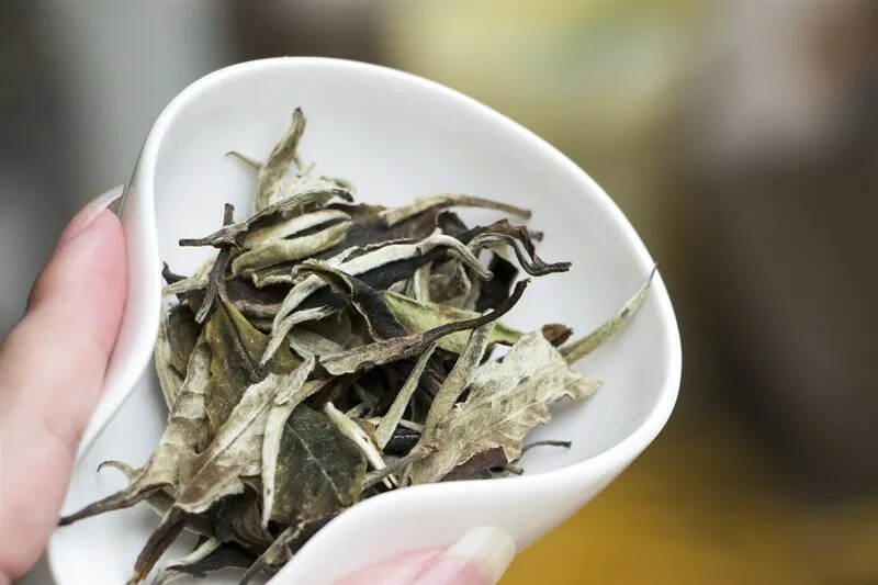 中国六大茶类，原来是靠TA来区分的