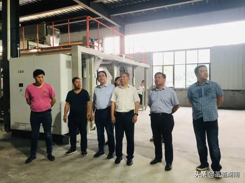 常德茶叶产业发展调研座谈会提出：政企发力做大做强常德茶产业