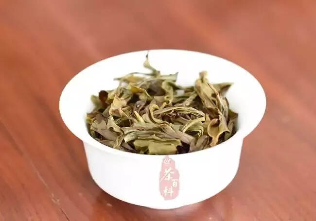 茶中“网红”——鸭屎香单丛茶养成记