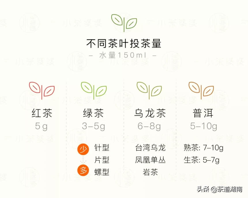 学门新手艺，这一篇教你零基础学会泡茶