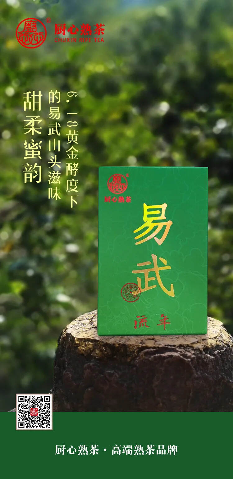 易武古熟：甜柔蜜韵，优质高性价比