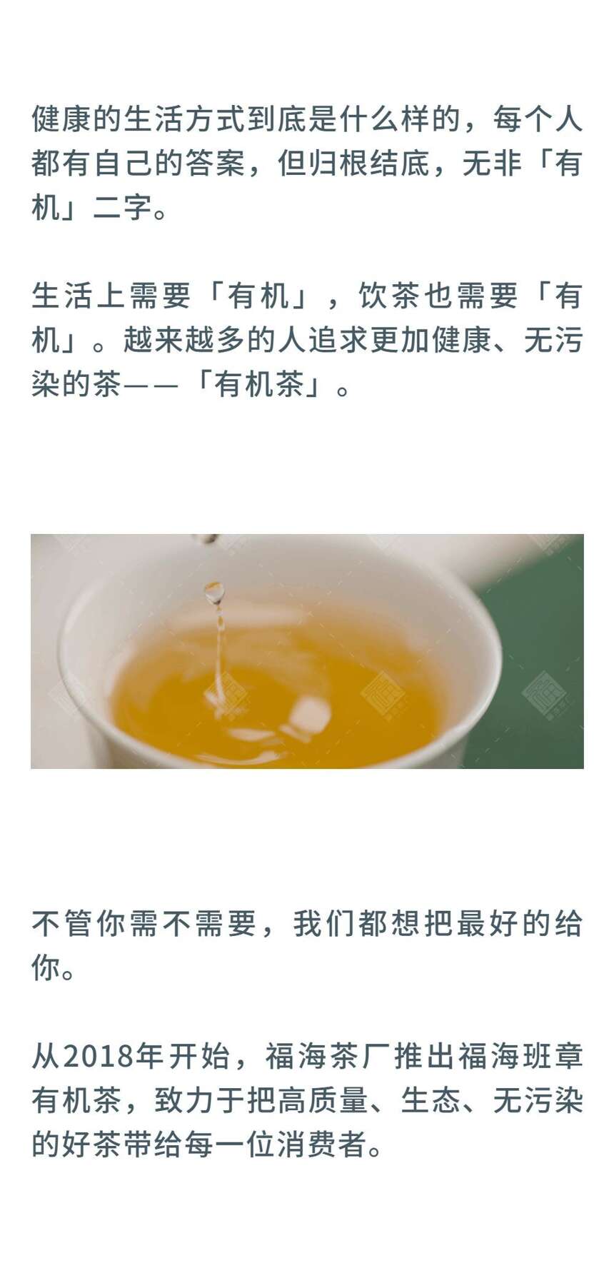 这里开了一家有机普洱茶「盐」究所