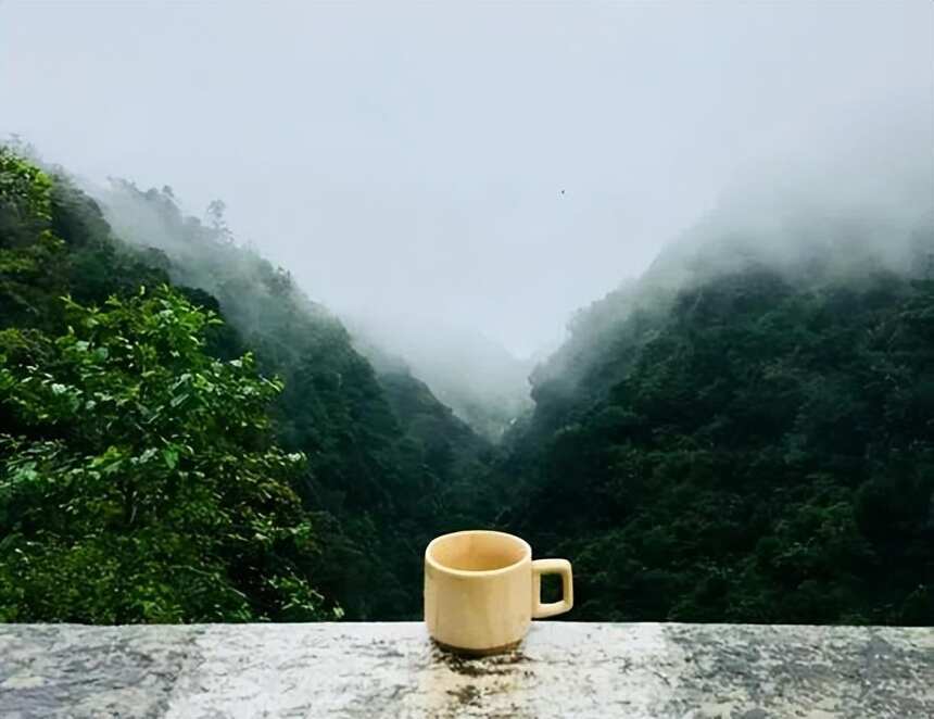 品尝茶与酒，中国人的两种性格