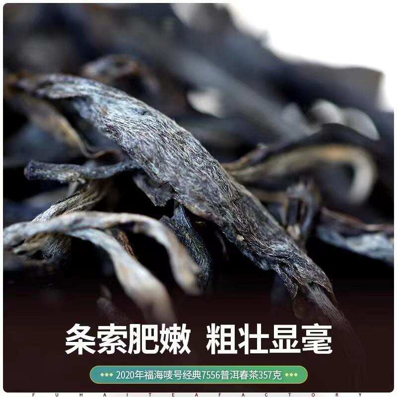 618百元好茶 | 福海性价比之王，口粮茶推荐